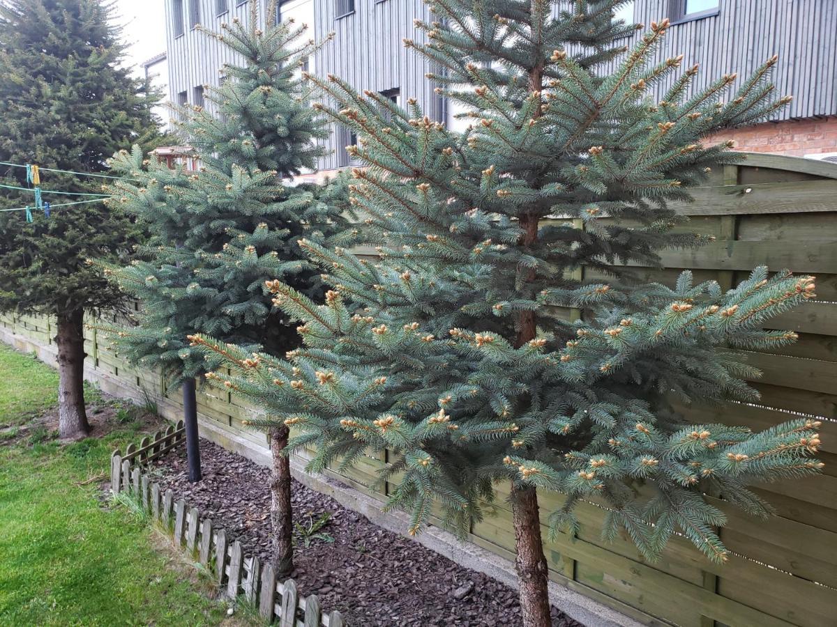 Apartament Aga13 Миколайки Экстерьер фото